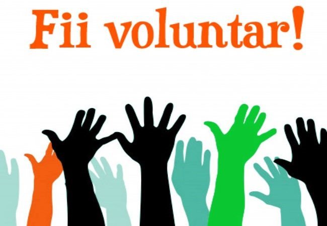 Ziua Internațională a Voluntariatului